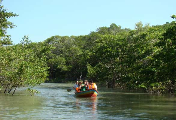 Guia Jericoacoara: passeio de barco, sem motor, para ver os cavalos-marinhos