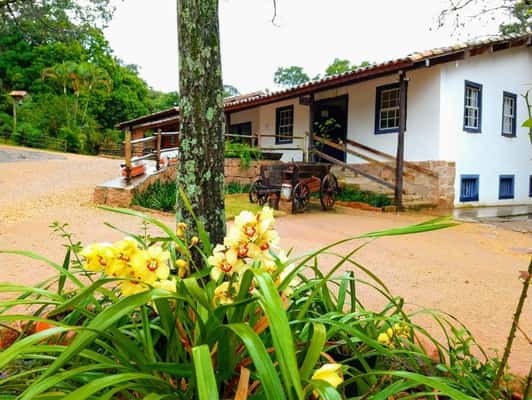 Fazenda do Chocolate é passeio imperdível em Itu