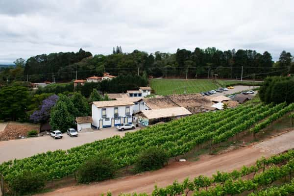 Vista da Quinta do Olivardo a partir do 