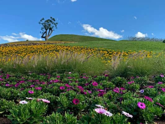 Mátria Parque de Flores