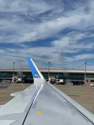 Detalhe do avião da Azul em homenagem ao personagem Pato Donald, da Disney