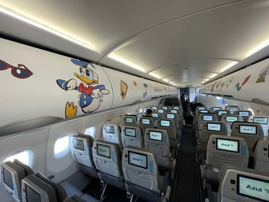 Detalhe do avião da Azul em homenagem ao personagem Pato Donald, da Disney