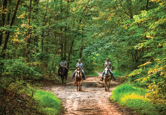 Ao longo da Natchez Trace Parkway é possível fazer cavalgadas