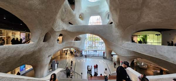 Museu Americano de História Natural