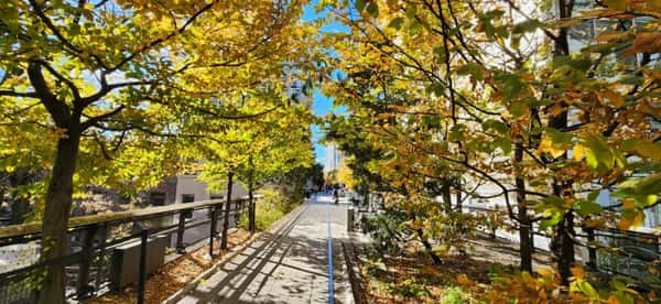 O High Line conta com muitos espaços verdes