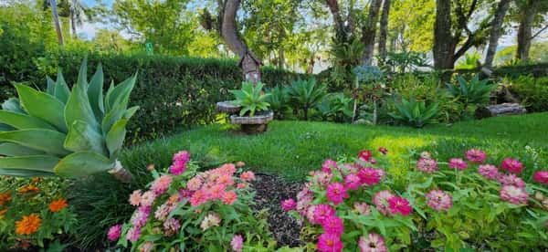 Jardins do Parque das Águas são bem cuidados