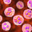 CDC alerta para surto de doença meningocócica com 7 mortes nos EUA
