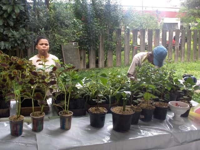 Jovens têm experiência em jardinagem desde agosto de 2007