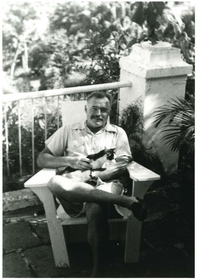 Ernest Hemingway/ reprodução