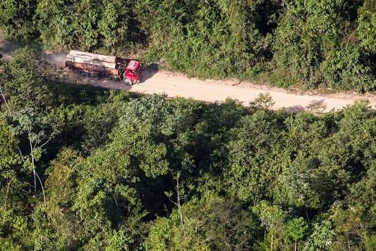 Rastreamento de madeira ilegal no Pará 