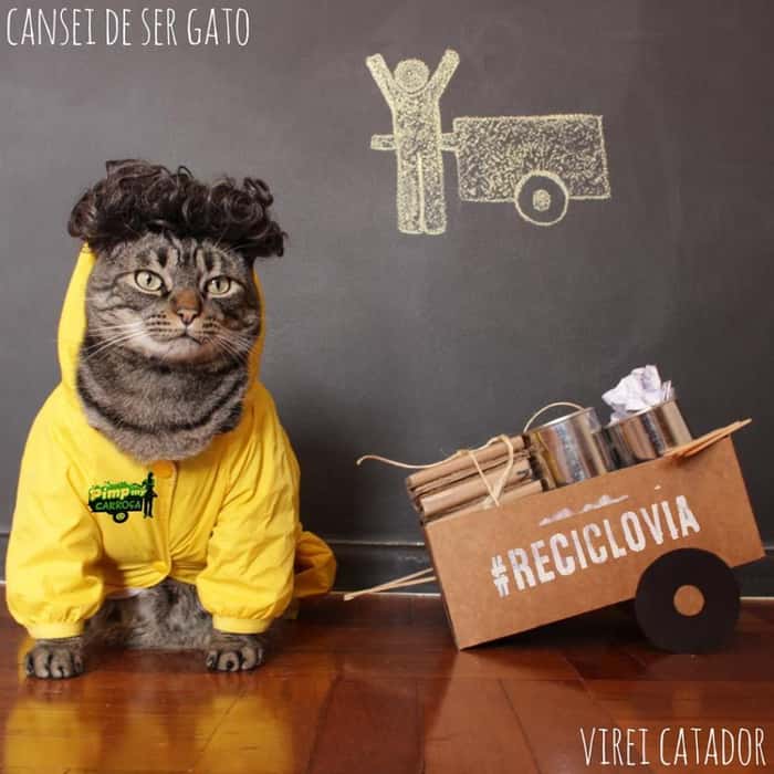 Nas redes sociais, multiplicam-se as campanhas de apoio ao projeto #reciclovia. Crédito: Cansei de Ser Gato 