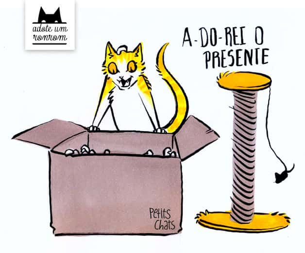 Livro mágico gato