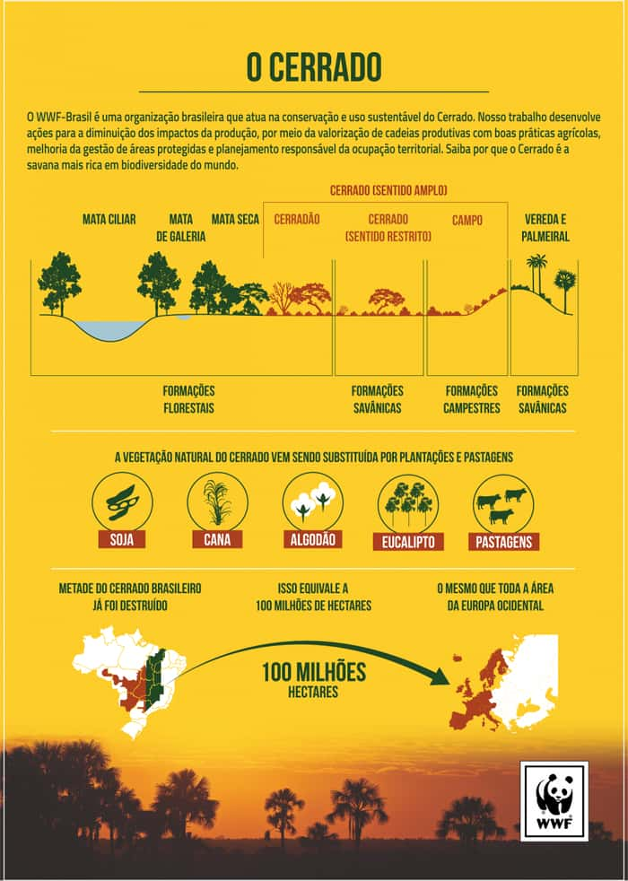 Wwf Cria Infográficos Para Celebrar O Dia Nacional Do Cerrado 8821