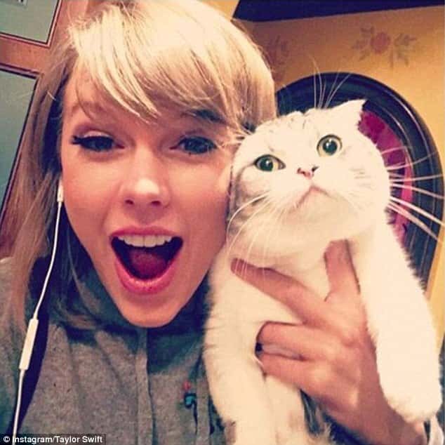 Taylor Swift e seu gato de estimação 