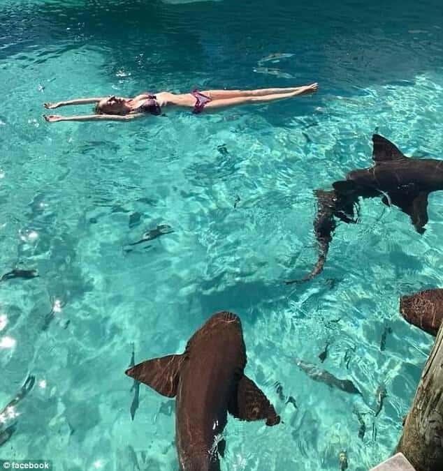 Sarah na 'piscina' do resort que tem tubarões como atração