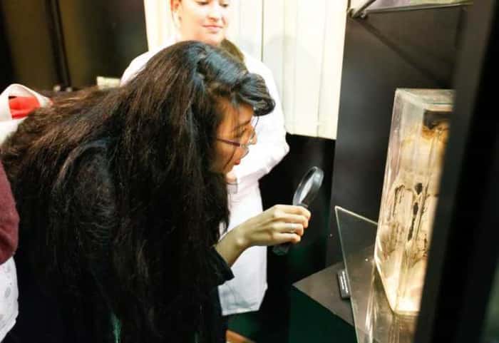 O Museu de Anatomia Humana conta com mais de mil itens expostos, que vão de membros e órgãos, até cadáveres