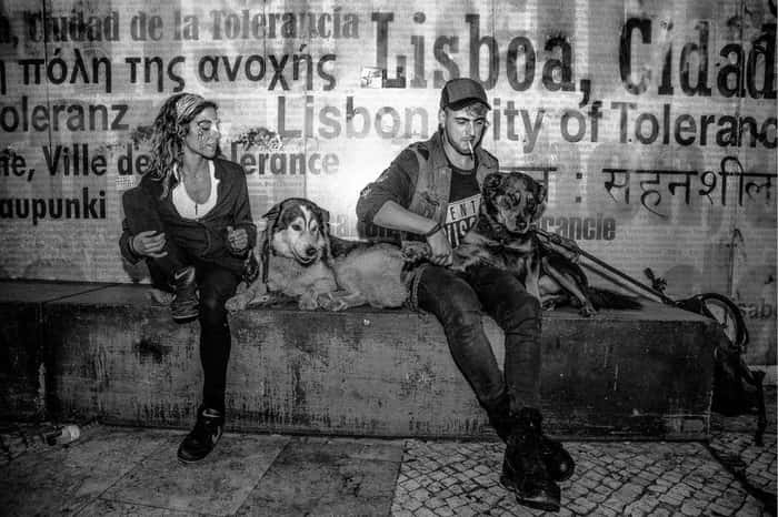 Foto em preto e branco de dois de moradores de rua e seus cães