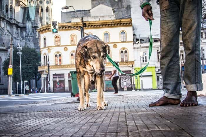 Morador de rua e seu cão