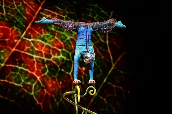 Espetáculo 'OVO', do Cirque du Soleil