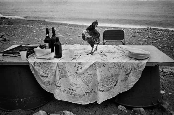 A festa acabou na praia de Arenella, Palermo, 1986