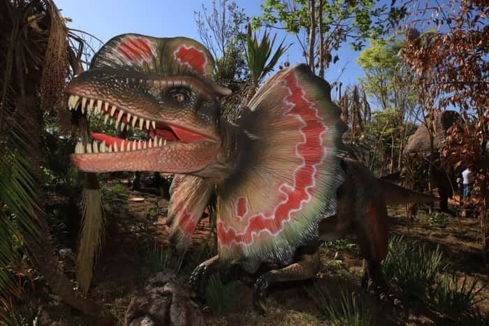 Parque conta com 38 dinossauros animatrônicos vindos dos EUA e da China 