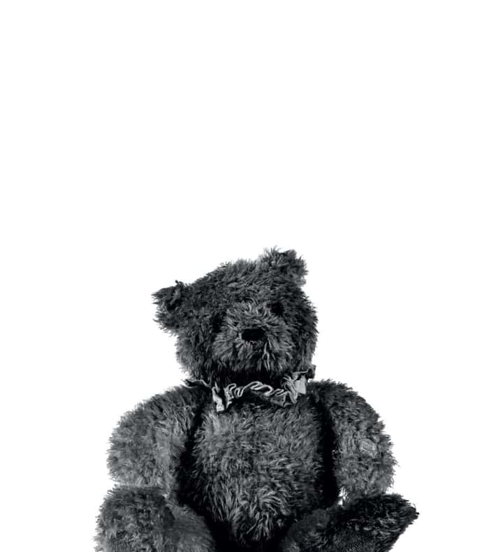 Urso de pelúcia exposto na exposição da campanha 