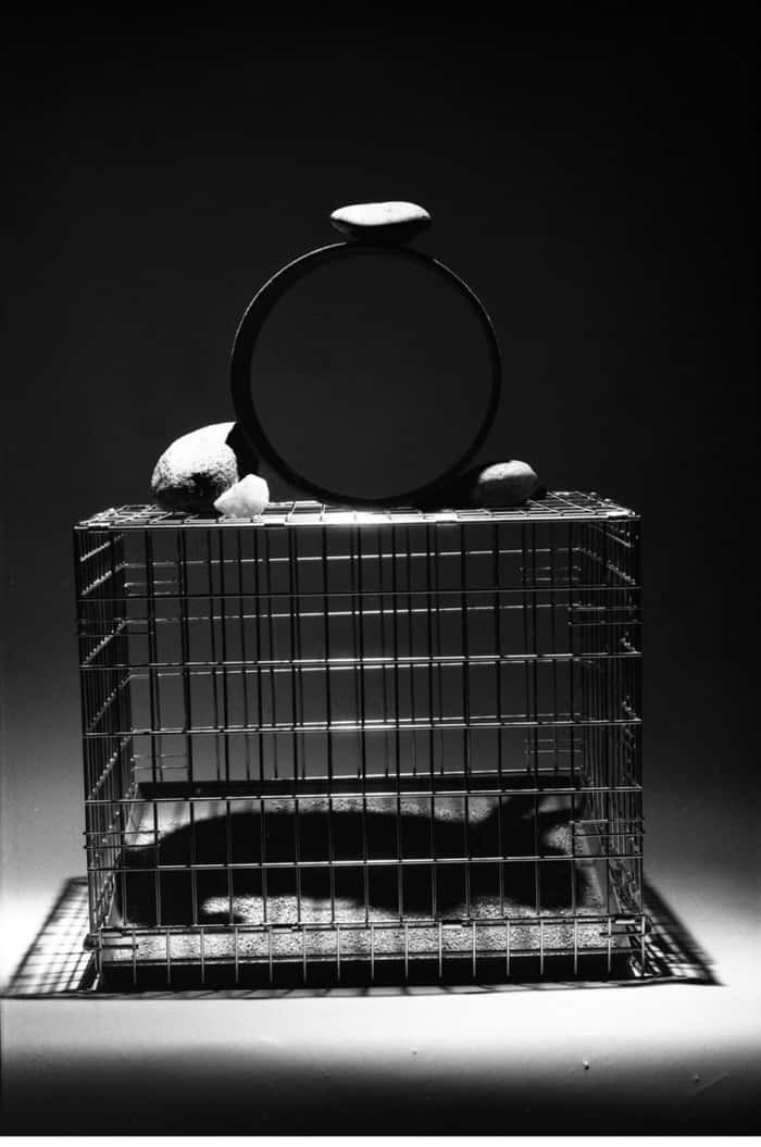 Obra de Mac Adams. Sombra de coelho dentro de uma jaula em fotografia P&B