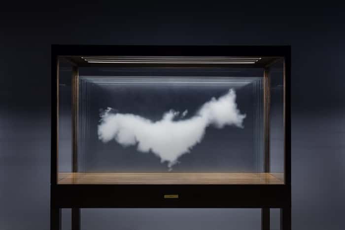 The cloud – América del Sur, 2018 | Vidro ultra claro, tinta cerâmica, vitrine de madeira, luz LED | 199,5 x 205 x 67cm