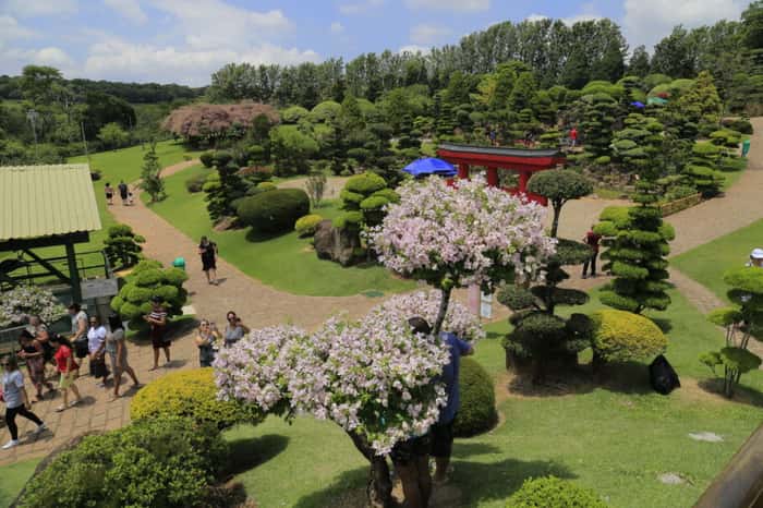 Vista do Jardim Japonês do Parque Maeda, em Itu (SP)
