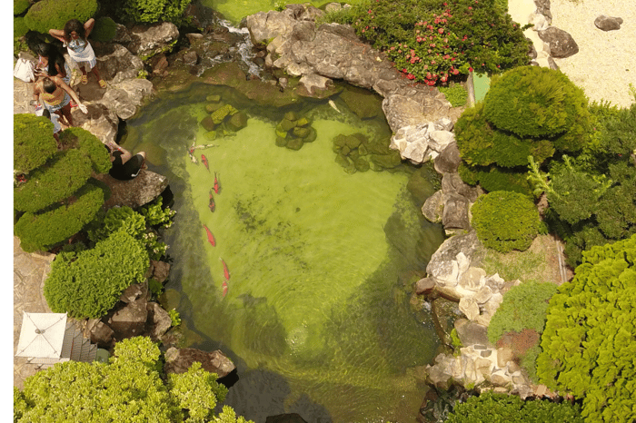 Lago de carpas no Jardim Japonês do Parque Maeda