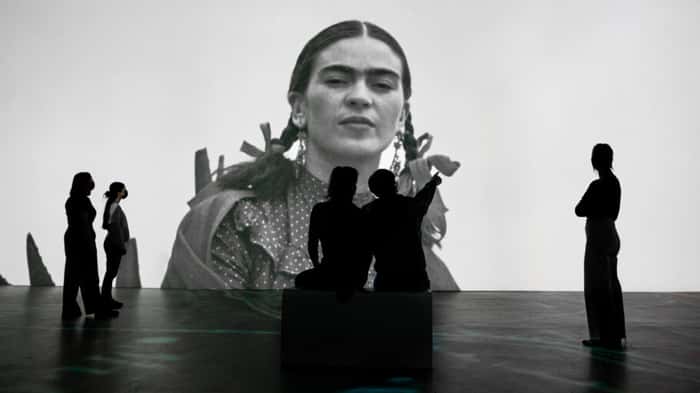 Frida Kahlo: Uma Biografia Imersiva