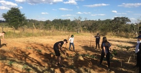 Alunos recuperam área rural de Brasília com plantio de 150 espécies
