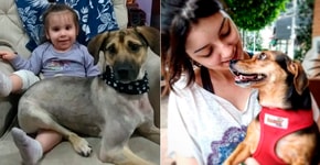4 histórias de adoção de animais que vão encher seu coração de amor