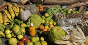 Mutirão distribui cestas agroecológicas a comunidades vulneráveis