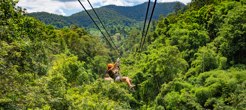 Foto: (IStock | Wattanapong plymat)