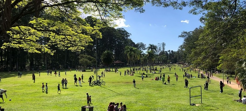 Foto: (Reprodução do Instagram Oficial @parquedocarmosp)