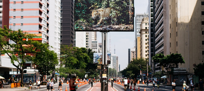 Foto: (Divulgação Virada Sustentável)