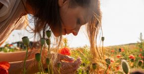 O que é o equinócio da primavera? Entenda o fenômeno e aprenda rituais simbólicos 