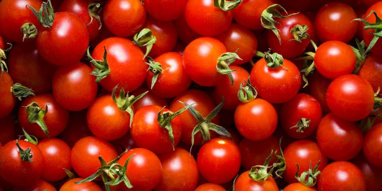 Featured main: Licopeno do tomate pode ajudar a proteger o cérebro contra o Parkinson, aponta pesquisa