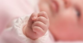 Foto: (njw1224/istock)