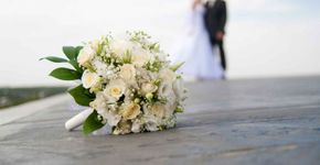 Plataforma com ferramentas gratuitas de organização de casamento chega ao Brasil
