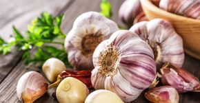 Foto: (iStock/ IURII BUKHTA)