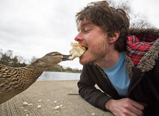 Fotógrafo tira selfies com animais