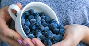 Foto: (iStock/Anastasiia Yanishevska)