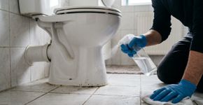 Os especialistas recomendam borrifar vinagre ao redor do vaso sanitário com frequência em casa: para que serve e por que sugerem fazê-lo