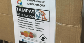 Foto: (Reprodução/Facebook/@ecopettampastampinhas)