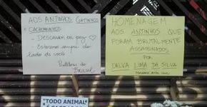 Em decisão histórica, assassina de animais é condenada a 12 anos de prisão no Brasil
