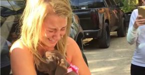 Homem pede namorada em casamento com um filhote de cachorro