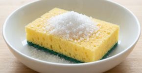 Jogar sal grosso na esponja de cozinha: para que serve e por que é recomendado fazê-lo uma vez por semana