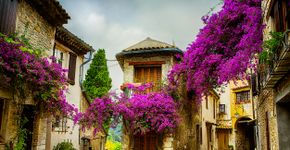 Foto: (Konstanttin/iStock)